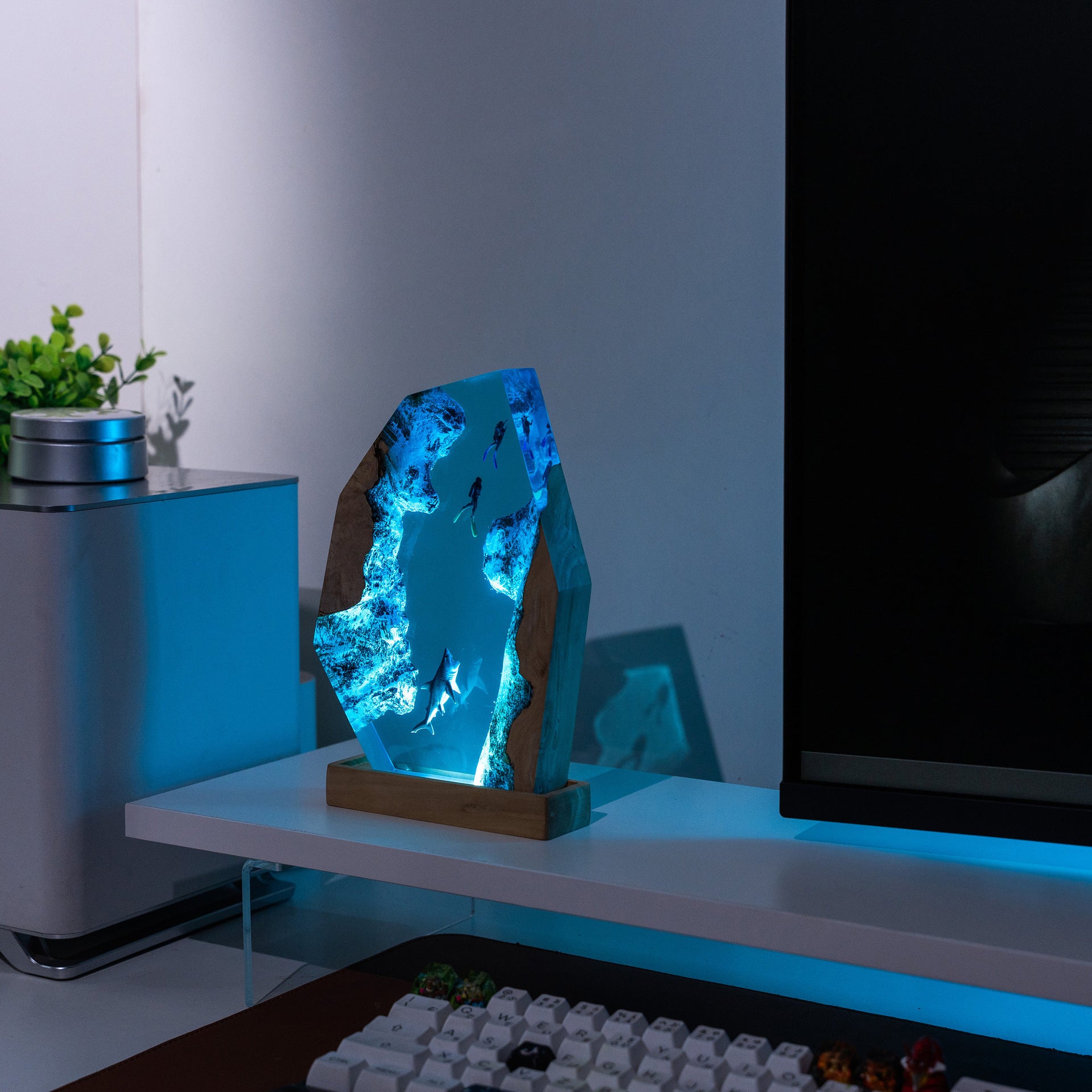 Tidepool — Ocean Diver Resin & Wood Night Light — detail view 4